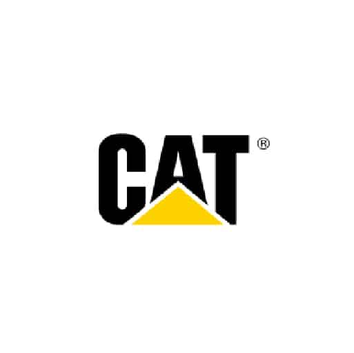 CAT Logo